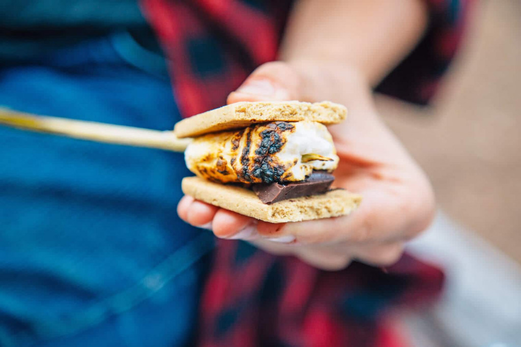 Vegan-Smores-with-Dandies-Vegan-Marshmallows-5