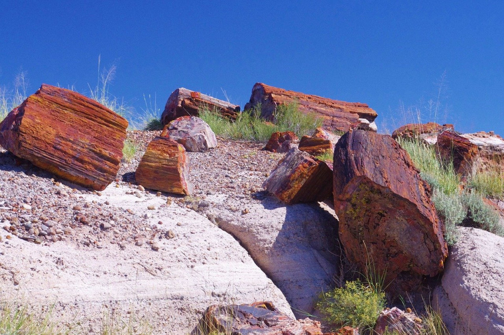 petrified-forest-national-park-3580374_1280