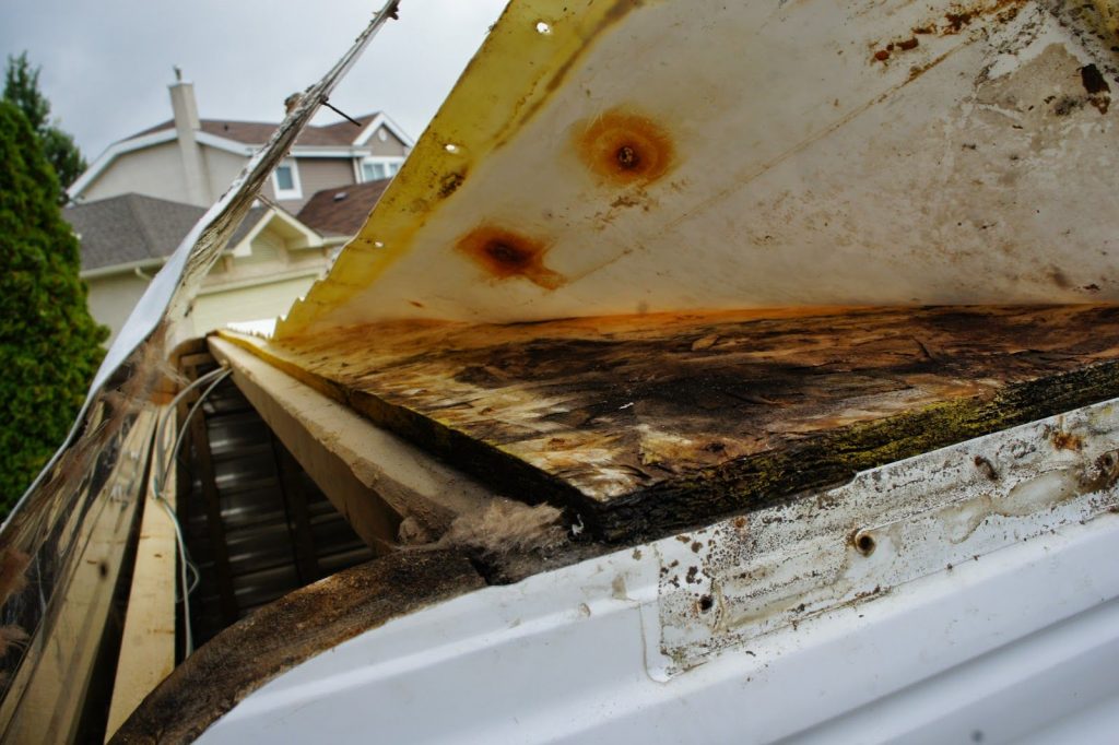 Roof Water Damage