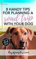 Book Road trip with Dog